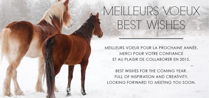 cartevoeux_2014