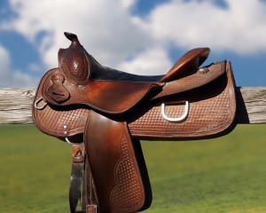 Saddleimage